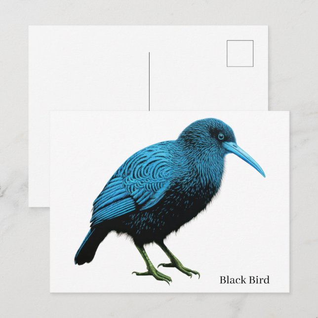 Carte Postale Oiseau noir    (Devant / Derrière)