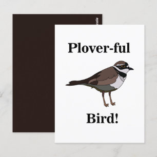 Carte Postale Oiseau Pluvier Drôle Nature Faune