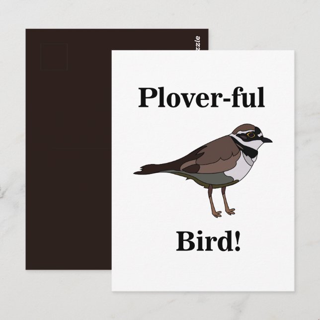 Carte Postale Oiseau Pluvier Drôle Nature Faune (Devant / Derrière)