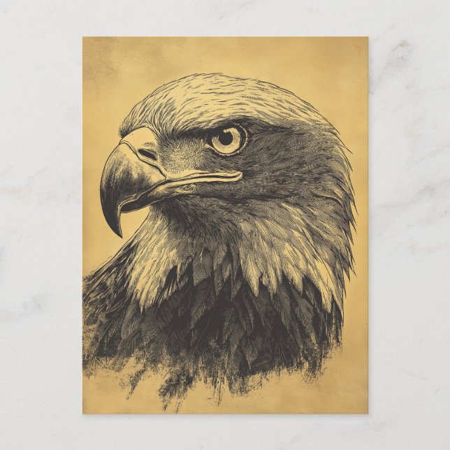Carte Postale Oiseau prédateur de Vintage (Devant)