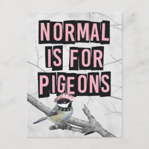 Carte Postale Oiseau Punk Alternatif Anti Conformité
