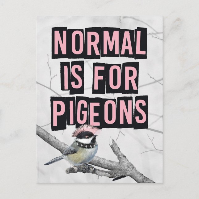 Carte Postale Oiseau Punk Alternatif Anti Conformité (Devant)