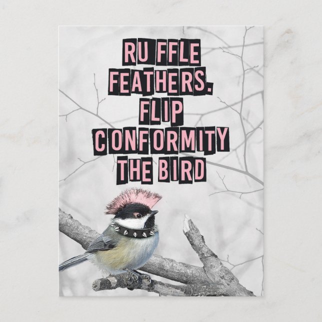 Carte Postale Oiseau Punk Alternatif Anti Conformité (Devant)