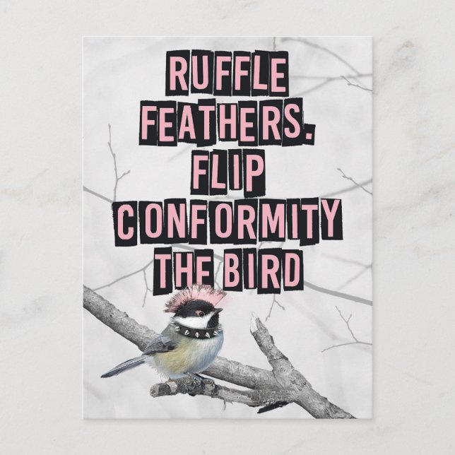 Carte Postale Oiseau Punk Alternatif Anti Conformité (Devant)