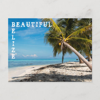 Carte Postale Oiseau riant Caye - Belize