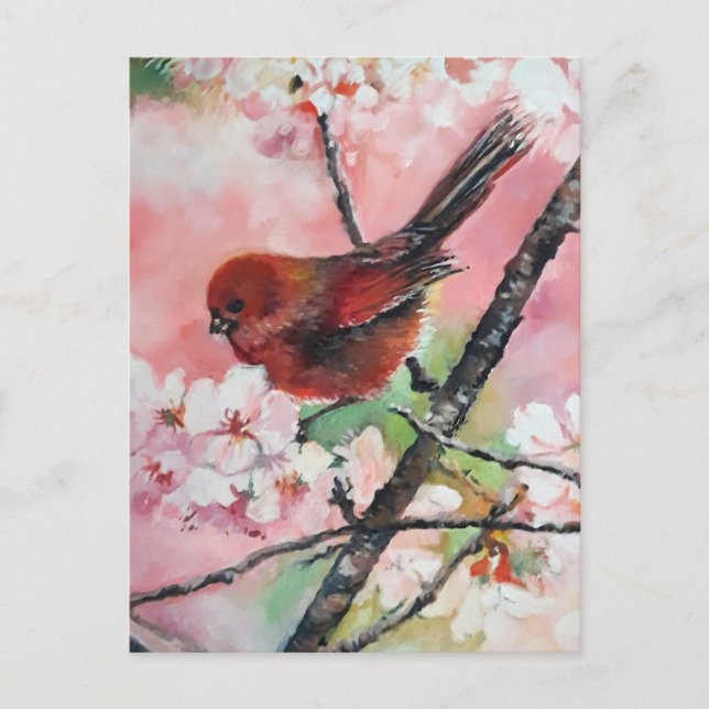 Carte Postale Oiseau roux en fleurs de cerisiers (Devant)