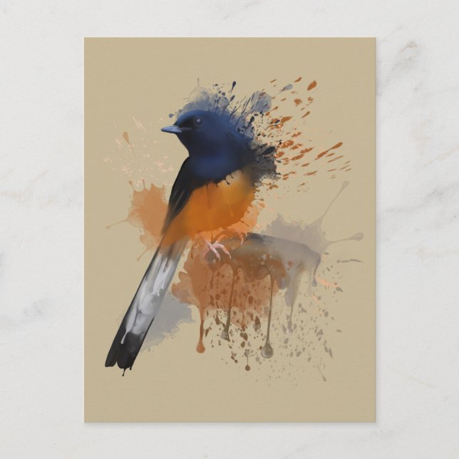 Carte Postale Oiseau Shama Rumpé Blanc (Devant)