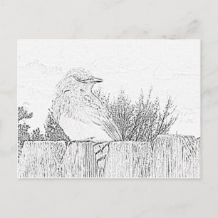 Carte postale - Oiseau sur clôture à colorier