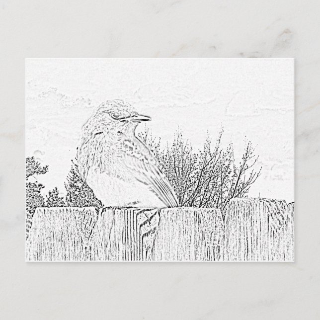 Carte postale - Oiseau sur clôture à colorier (Devant)