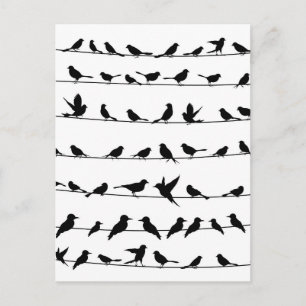 Carte Postale Oiseau sur fil4