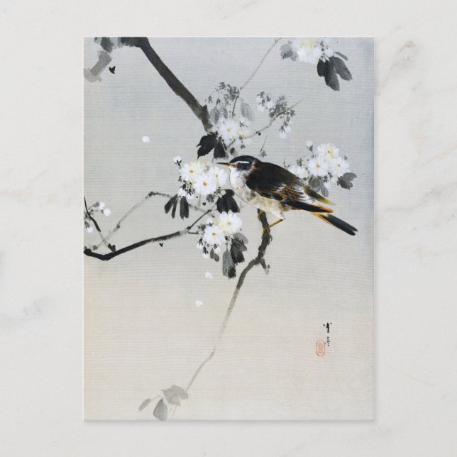 Carte Postale Oiseau sur une branche de fleurs de cerisiers, Wat (Devant)