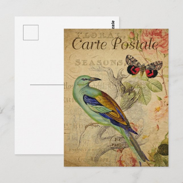 Carte Postale Oiseau vert et papillon (Devant / Derrière)