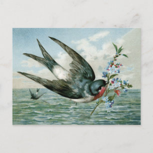 Carte Postale Oiseau vintage avec branche de floraison