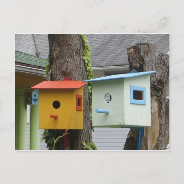 Carte Postale Oiseaux (Devant)