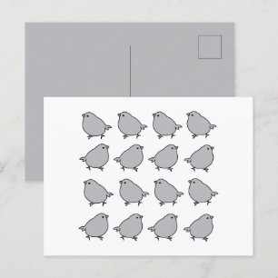 Carte Postale Oiseaux