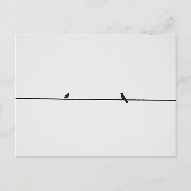 Carte Postale Oiseaux Amis (Devant)