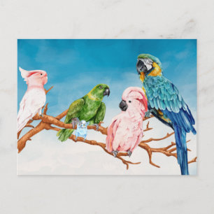 Carte Postale Oiseaux Aquarelle Parrot Macaw Cockatoo Parakeet