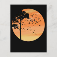 Oiseaux Arbre Beau coucher de soleil Nature