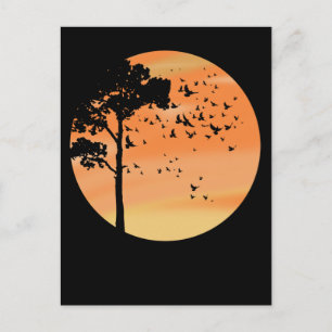 Carte Postale Oiseaux Arbre Beau coucher de soleil Nature