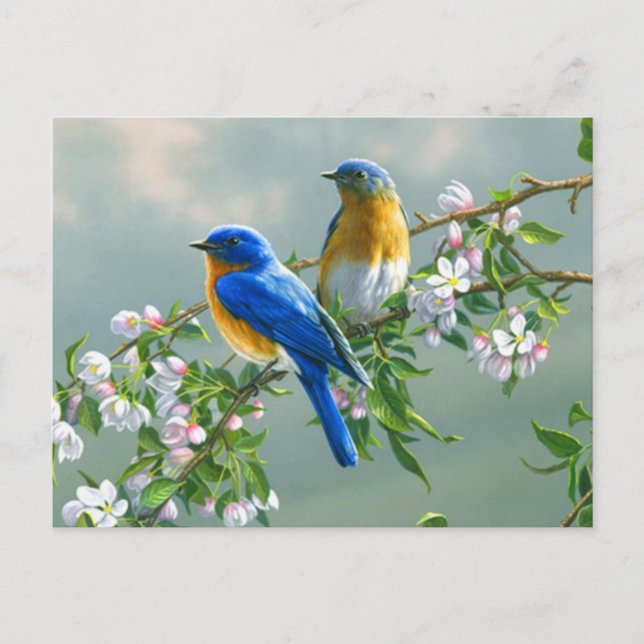 Carte Postale Oiseaux bleus (Devant)