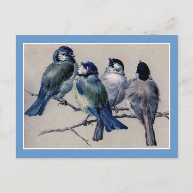 Carte Postale Oiseaux bleus sur une branche (Devant)