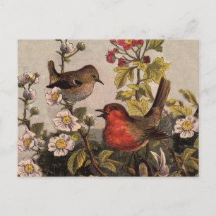 Carte Postale Oiseaux chanteurs Robin printanier vintage Botaniq