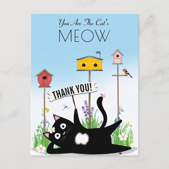 Carte Postale Oiseaux chats jardin merci (Devant)