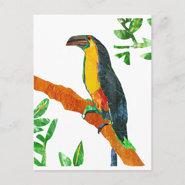 Carte Postale Oiseaux colorés Toucan (Devant)