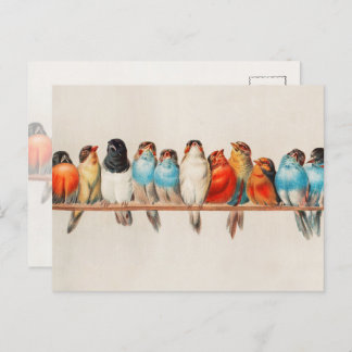 Carte Postale Oiseaux colorés vintages Aquarelle Nature Faune