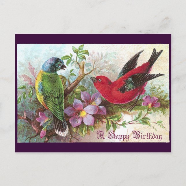 Carte Postale Oiseaux d'anniversaire 1800 (Devant)