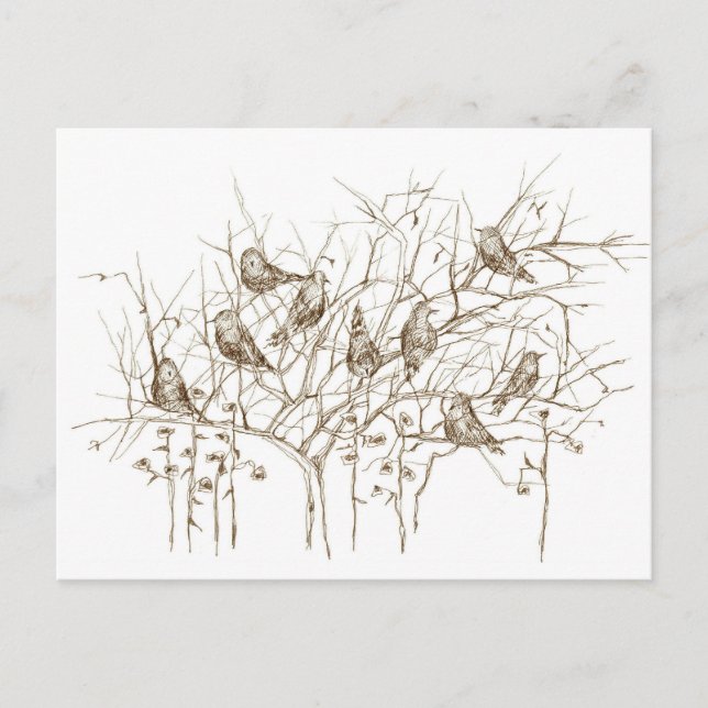 Carte Postale Oiseaux dans l'arbre Stylo Sepia et croquis d'encr (Devant)