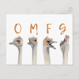 Carte Postale Oiseaux d'autruche amusants OMFG