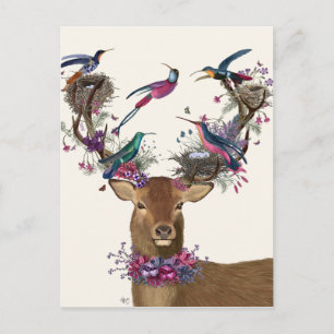 Carte Postale Oiseaux de cerfs, nids d'oiseaux tropicaux