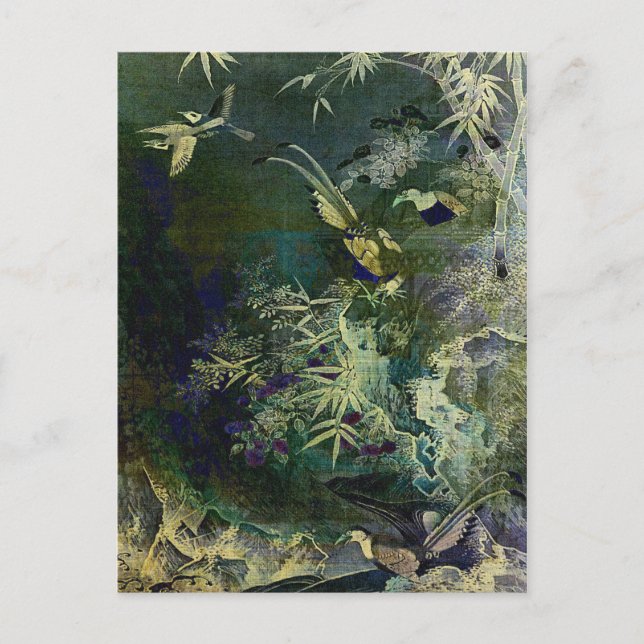 Carte Postale Oiseaux de la Jungle (Devant)