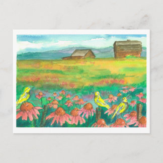 Carte Postale Oiseaux de la Médouarche Aquarelle Peinture