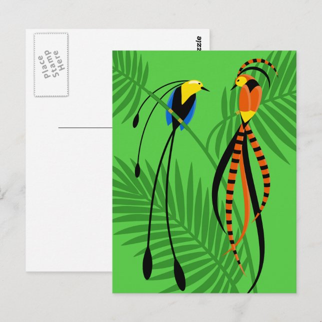Carte Postale Oiseaux de Paradis aux Couleurs Vives (Devant / Derrière)