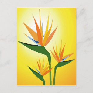 CARTE POSTALE OISEAUX DE PARADIS FLEURS DESIGN