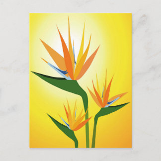 CARTE POSTALE OISEAUX DE PARADIS FLEURS DESIGN