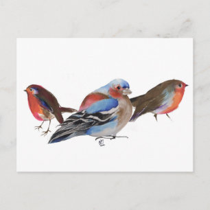 Carte Postale Oiseaux de plumes 2011
