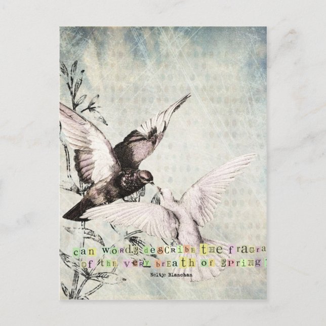 Carte Postale Oiseaux de printemps (Devant)