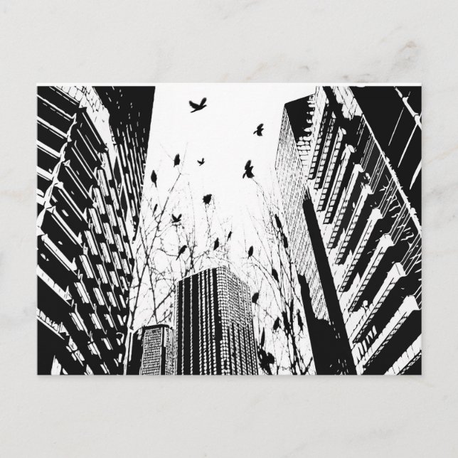 Carte Postale oiseaux de ville (Devant)