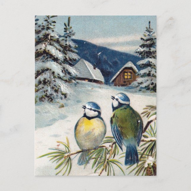 Carte Postale Oiseaux d'hiver vintages (Devant)
