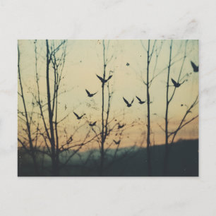 Carte Postale Oiseaux Double exposition