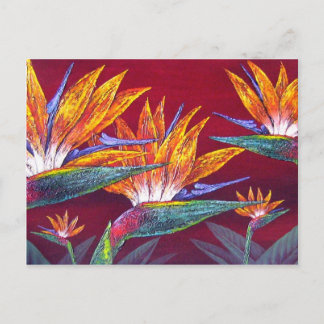 Carte Postale Oiseaux Du Paradis Fleur Tropicale - Multi