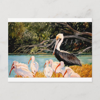 Carte Postale Oiseaux d'une plume