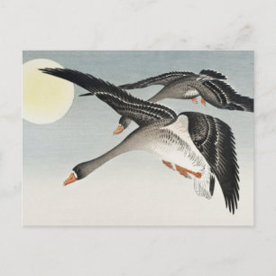 Carte Postale Oiseaux en Pleine lune Peinture par Ohara Koson