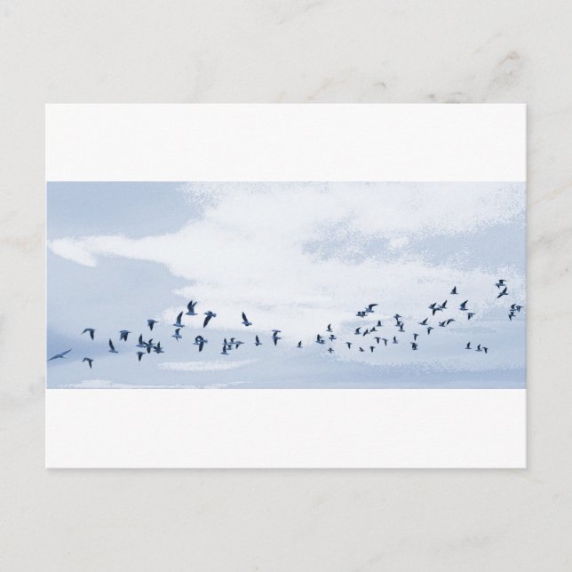 Carte Postale Oiseaux en vol (Devant)