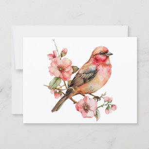 Carte Postale Oiseaux et fleurs vintage