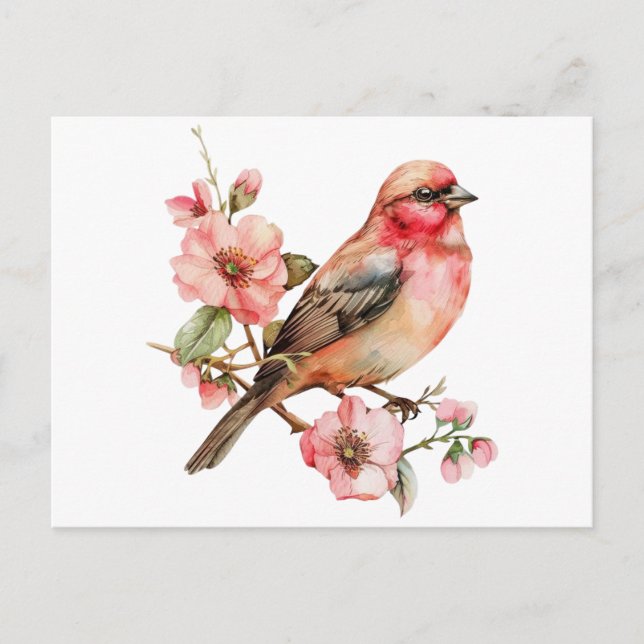 Carte Postale Oiseaux et fleurs vintage (Devant)