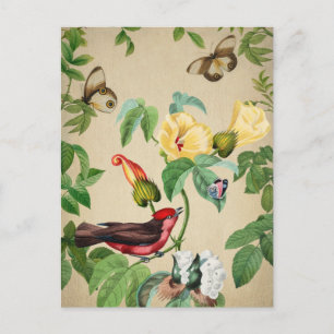 Carte Postale Oiseaux et papillons vintage